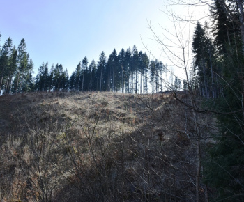 20.3.2024 Starý Majer.