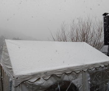 25.3.2024 Digitalni seniori. 25.3.2024 Digitalni seniori.