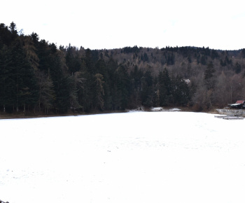 18.2.2025 Zimná vychádzka na Klingeri.  18.2.2025 Zimná vychádzka na Klingeri.