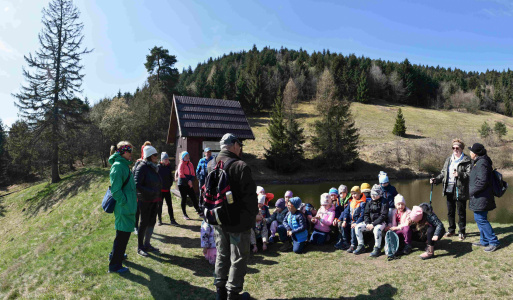 11.4.2025 Jarná vychádzka s MŠ 1.Mája. 11.4.2025 Jarná vychádzka s MŠ 1.Mája. Dnes to bola super jarná vychádzka aj s predškolákmi a pani učiteľkami Jankou Sámelovou a Jankou Tulipánovou. Stretli sme sa na Červenej studni a vybrali sme sa k najvyššie položenému tajchu OTTERGRUND. Vetrík nám načechral frizúru, tak sme pre istotu nešli až na Rosniarky, lebo tam by fúkalo viac. Túto trasu si necháme nabudúce. Zastavili sme sa na javisku - nádherné výhľady na slnkom zaliatu Štiavnicu. Zaspomínali sme na starý vlek, kde sa v detstve chodili lyžovať. Pri tajchu si deti dali desiatu a pán profesor Dominik Kútnik im porozprával niečo o lese a jeho význame pre všetky živé organizmy. Veď apríl je mesiac lesov, ale od detí sme sa dozvedeli, že je to aj bláznivý mesiac, tak už si to budeme pamätať. Ďakujem za účasť, lebo sme spoločne prežili nádherný deň.  Výlet vyšiel fantasticky a tak sa už tešíme na ďalšie akcie.