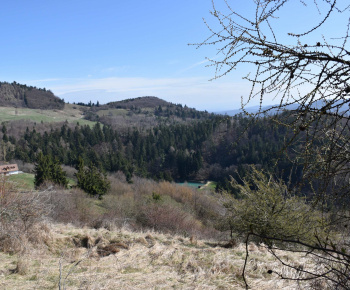 11.4.2025 Jarná vychádzka s MŠ 1.Mája. 11.4.2025 Jarná vychádzka s MŠ 1.Mája.