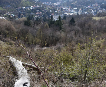 11.4.2025 Jarná vychádzka s MŠ 1.Mája. 11.4.2025 Jarná vychádzka s MŠ 1.Mája.