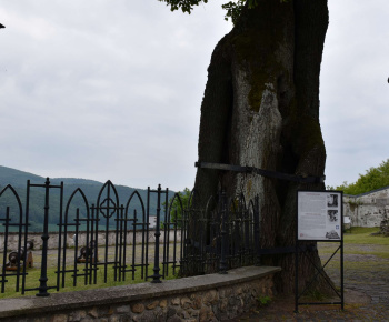 22.5.2025 Slovenská Ľupča – hrad. 