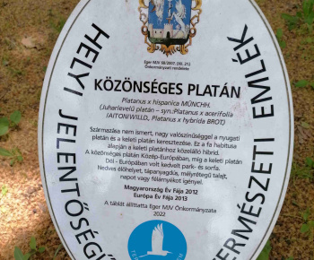 29.5.2025 EGER.